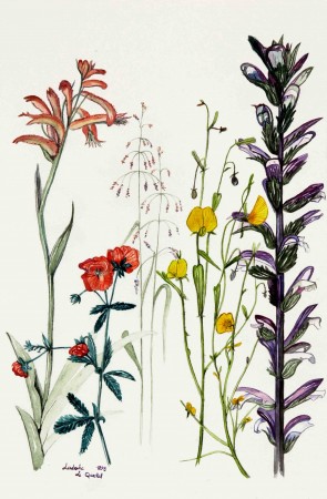Avec des fleurs sauvages