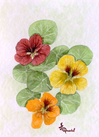 Et d'autres fleurs