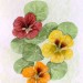 Et d'autres fleurs
