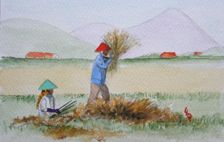 Indonésie Java récolte du riz
