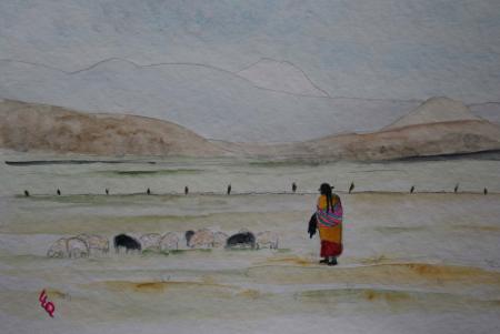 Bolivie, Cordillère des Andes