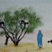 Maroc, les chèvres et l'arganier
