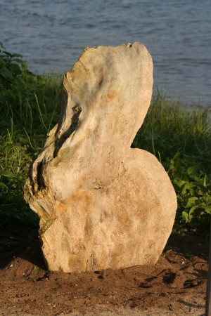 Panama San Blas' totem